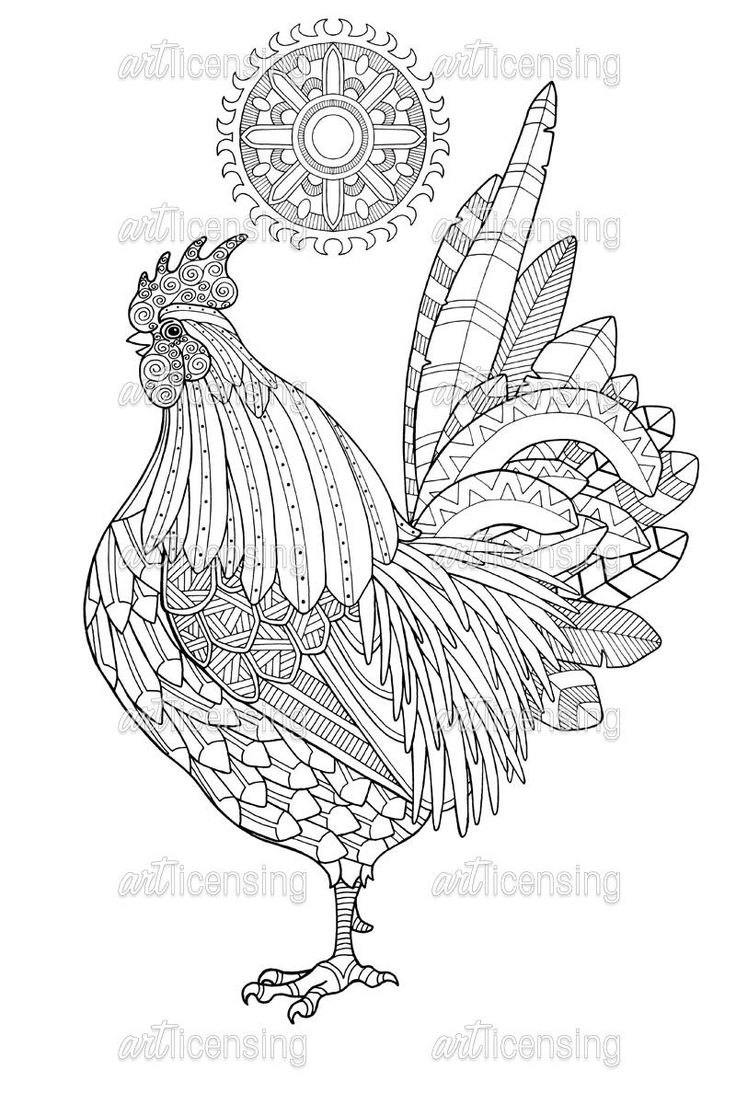 Mandala coloring pages animal coloring pages rooster art