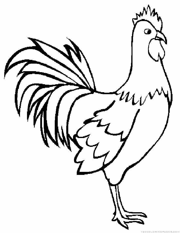 Rooster coloring pages for adults rooster and fox coloring pages
