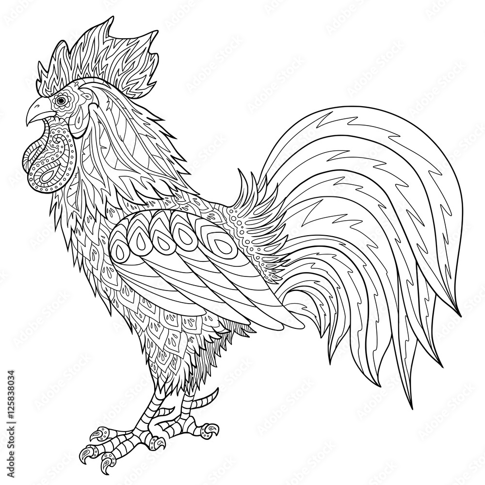 Adult coloring book with rooster hand drawn doodle cock vector illustration vector