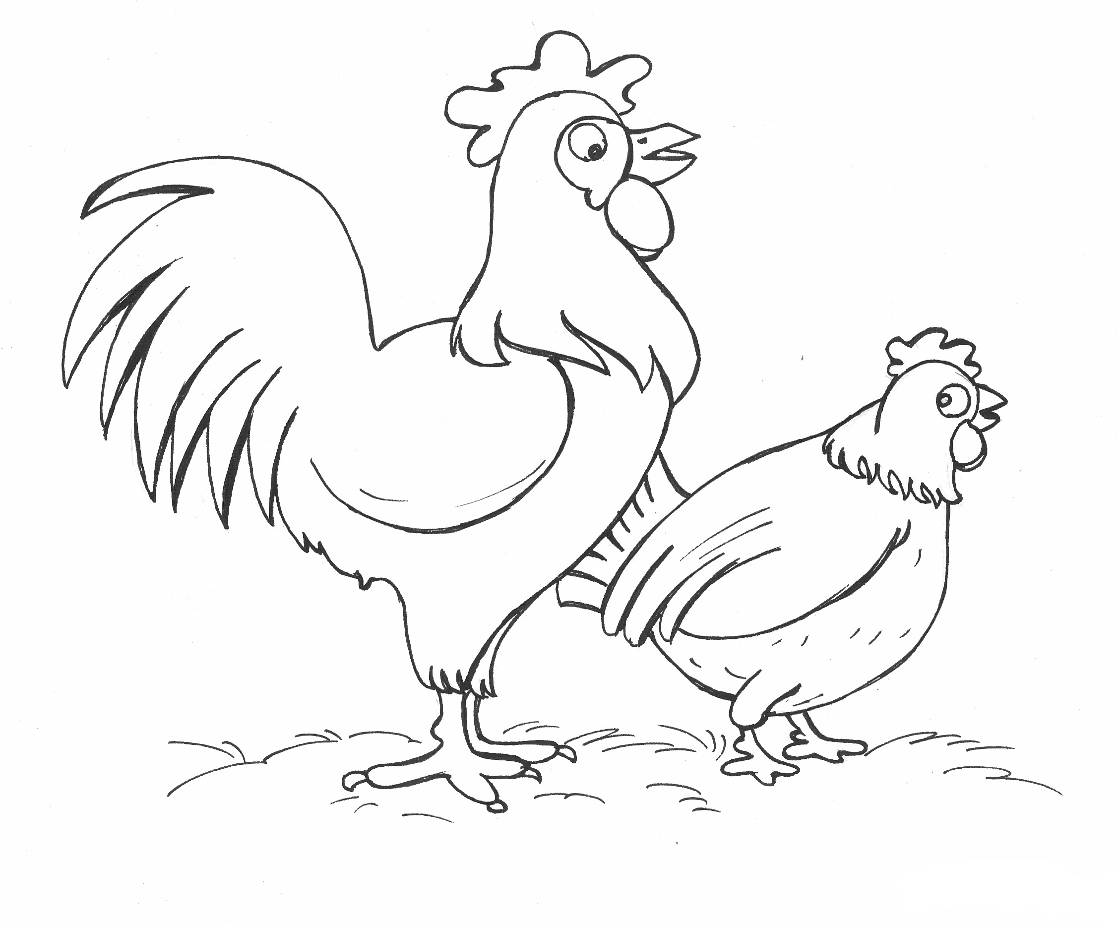 Chicken coloring pages
