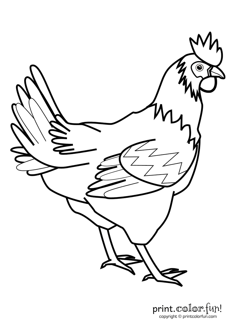 Rooster print color fun free printables coloring pages crafts puzzles cards to print hayvan boyama boyama kitabä hayvan stensili