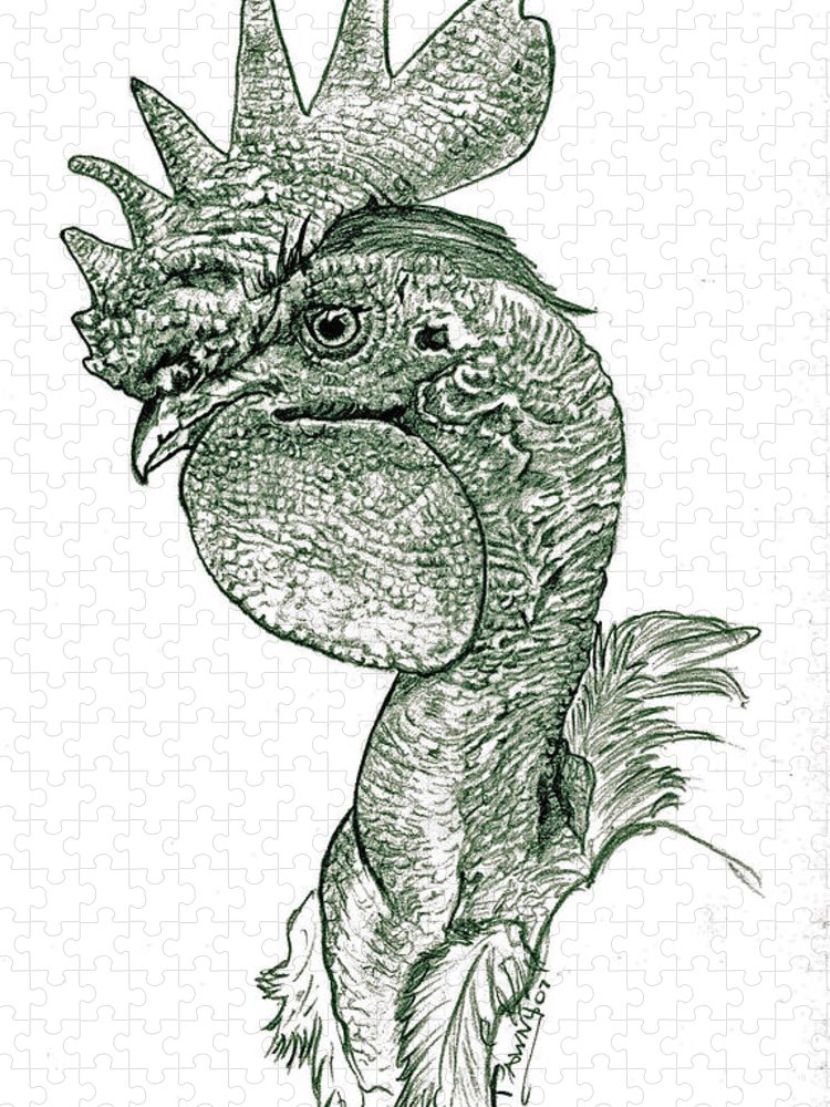 Naked neck rooster jigsaw puzzle by susan baker