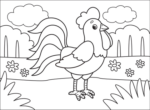 Rooster coloring page free printable coloring pages