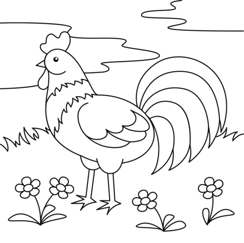 Rooster coloring page free printable coloring pages