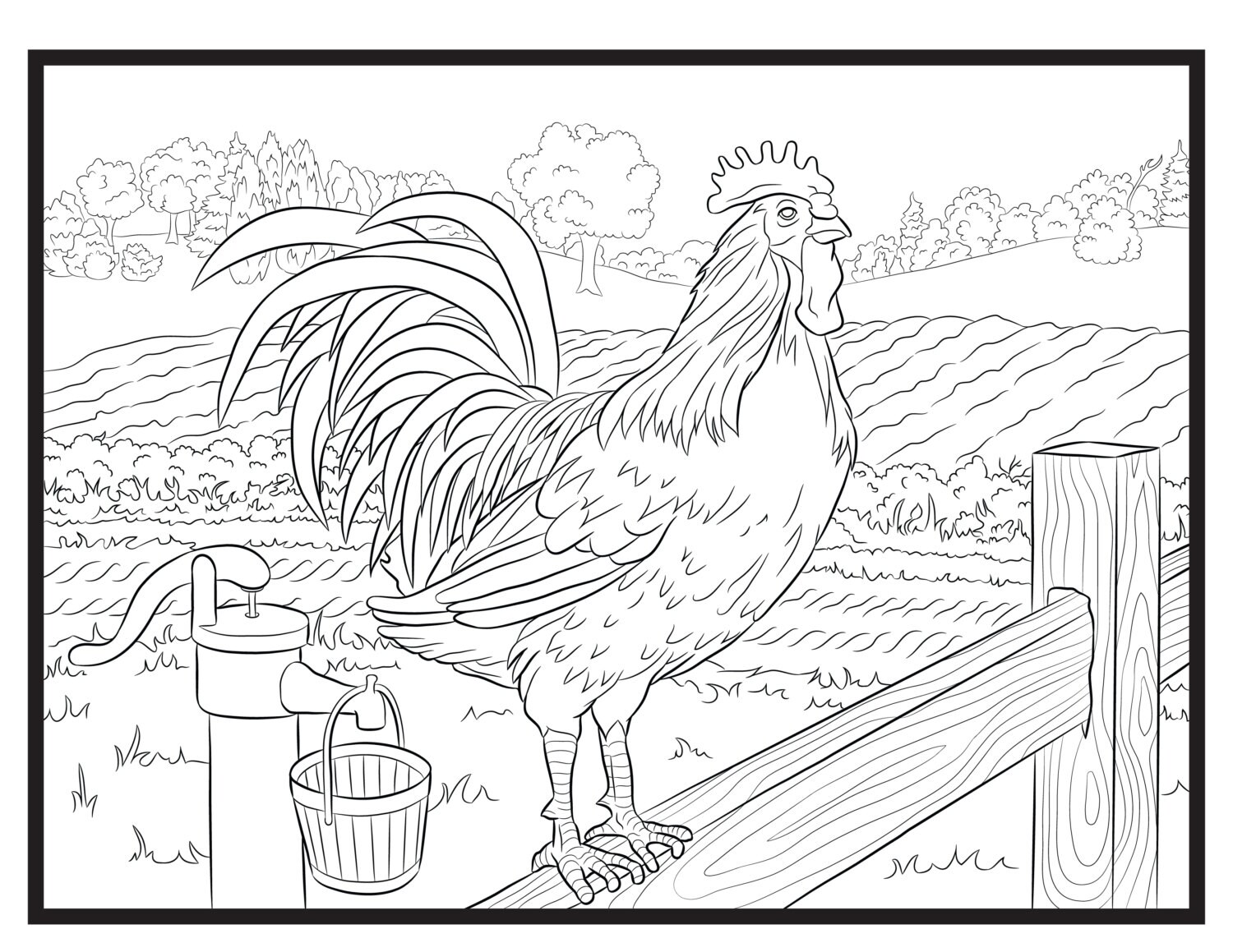Rooster single coloring page instant download