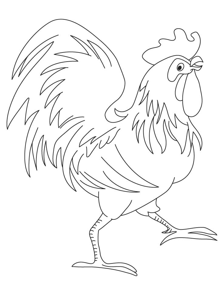 Rooster chinese zodiac sign coloring page download free rooster chinese zodiac sign coloring page for kids best coloring pages