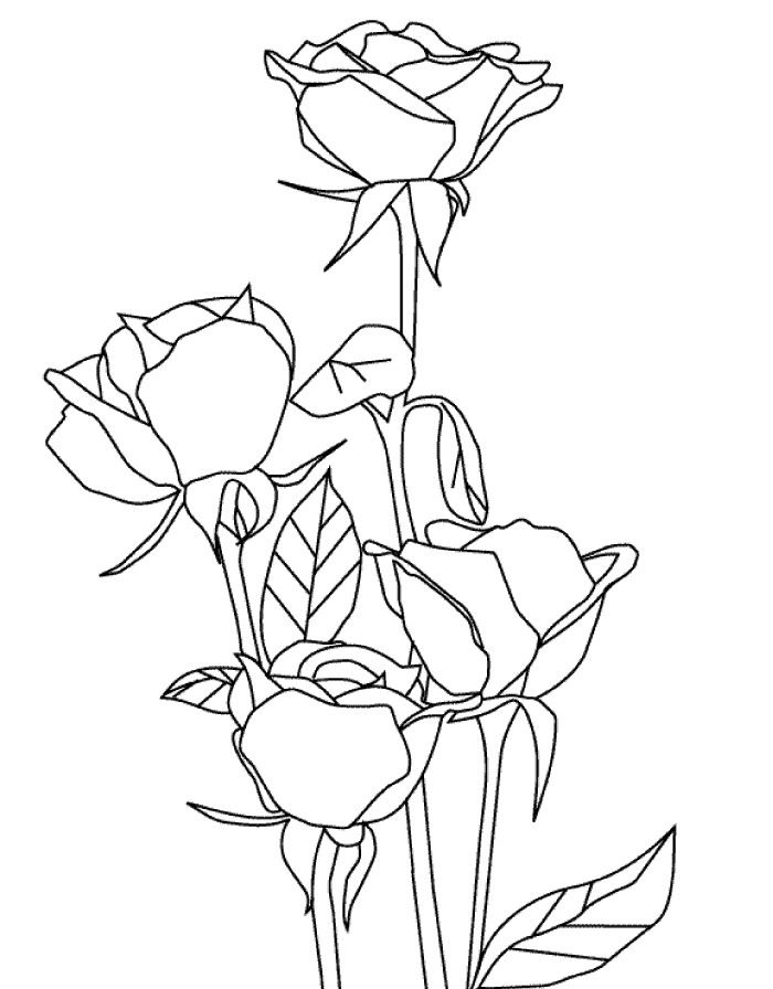 Pin em naturaleza dibujos para dibujar