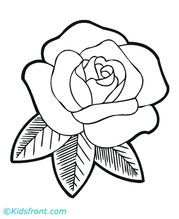 Vix cine y tv en espaãol flores para colorir rosas para colorir livro de colorir
