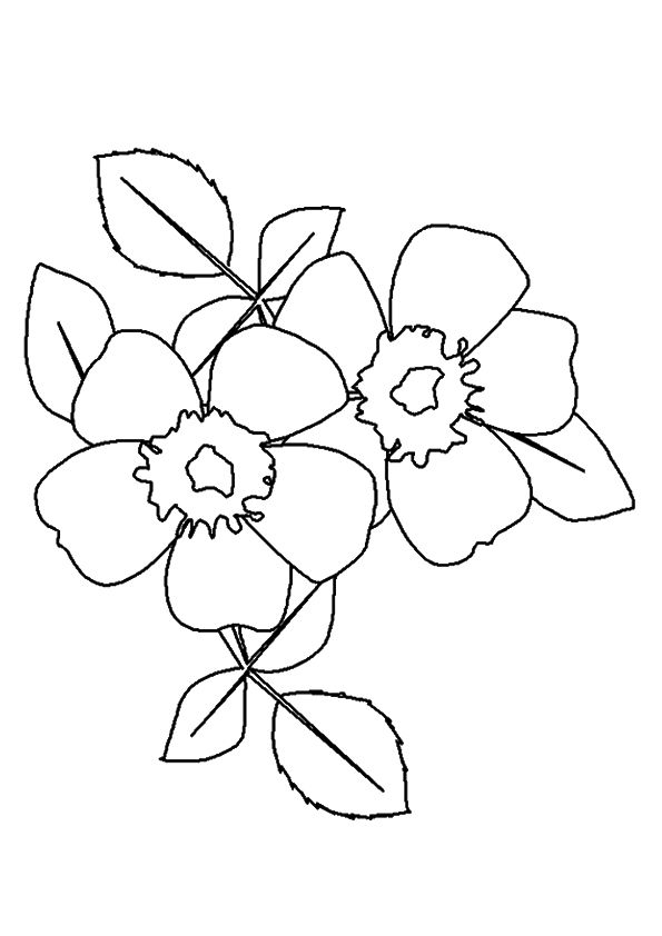 Coloring page rose coloring pages coloring pages flower bouquet drawing