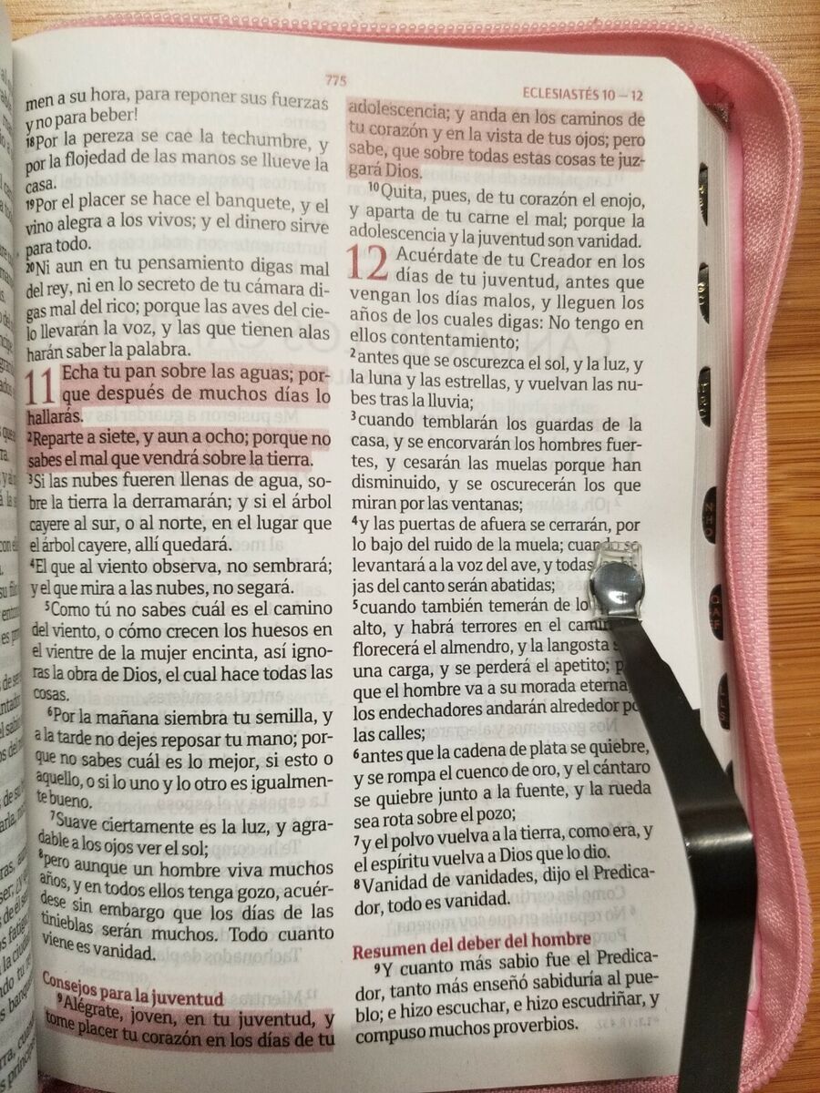 Biblia tamaão mediana reina valera color rosa con ãndice y cierre