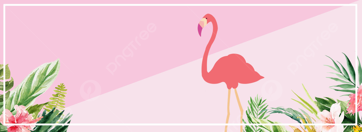 Fondo flamingo golpeã fondo frco de la bandera del viento del ins del color flamenco color de contraste frco viento fondo ins banner atrãs imagen de fondo para dcarga gratuita