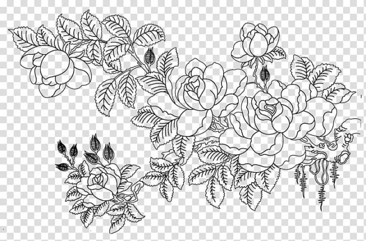 Free white and black floral illustration rosa multiflora drawing flower sketch flower sketch transparent background png clipart