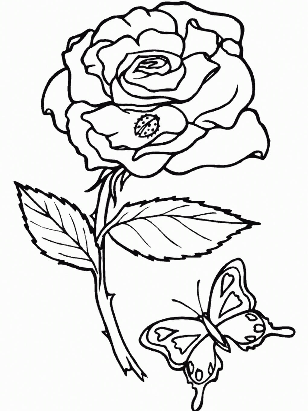 Rose coloring pages