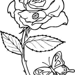 Rose coloring pages printable for free download