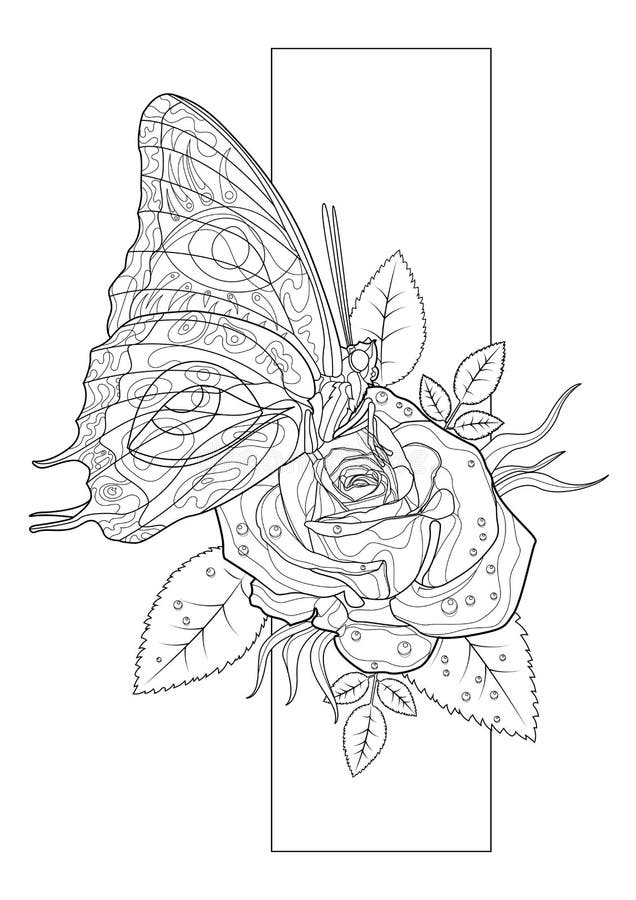 Coloring page line art butterfly and rose for adults line art black contour sketch isolated on white background stock illustration