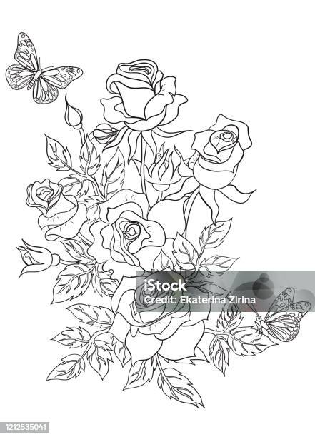 Coloring page with roses and butterflies vector graphics stock illustration