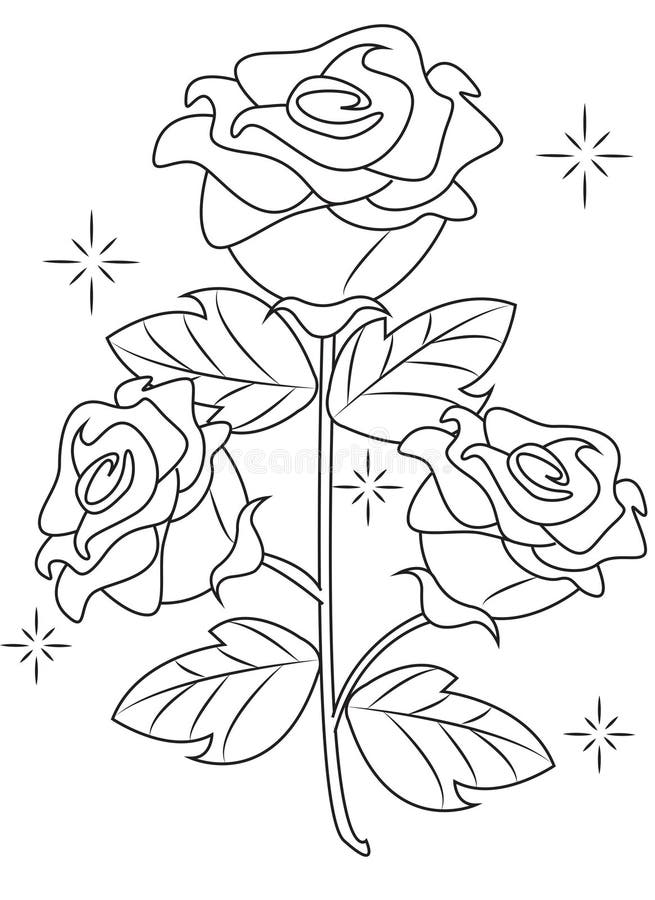 Rose coloring page stock illustrations â rose coloring page stock illustrations vectors clipart