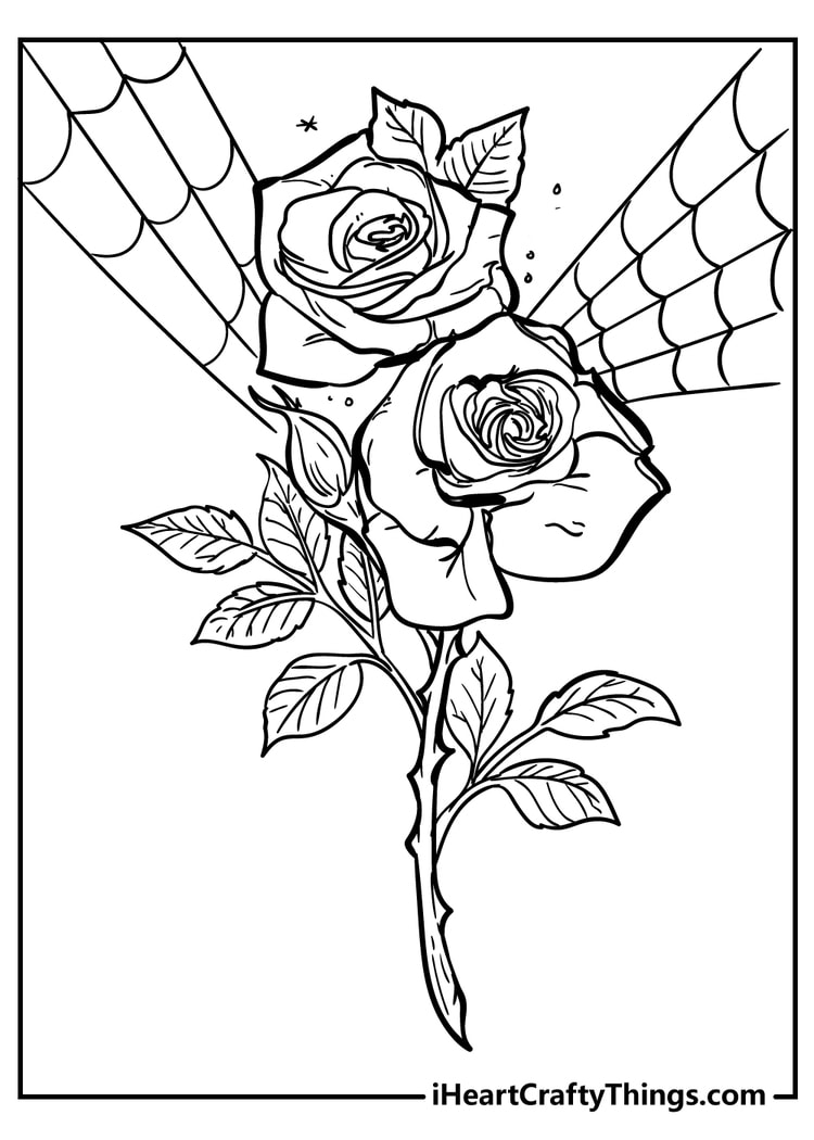 Rose coloring pages free printables
