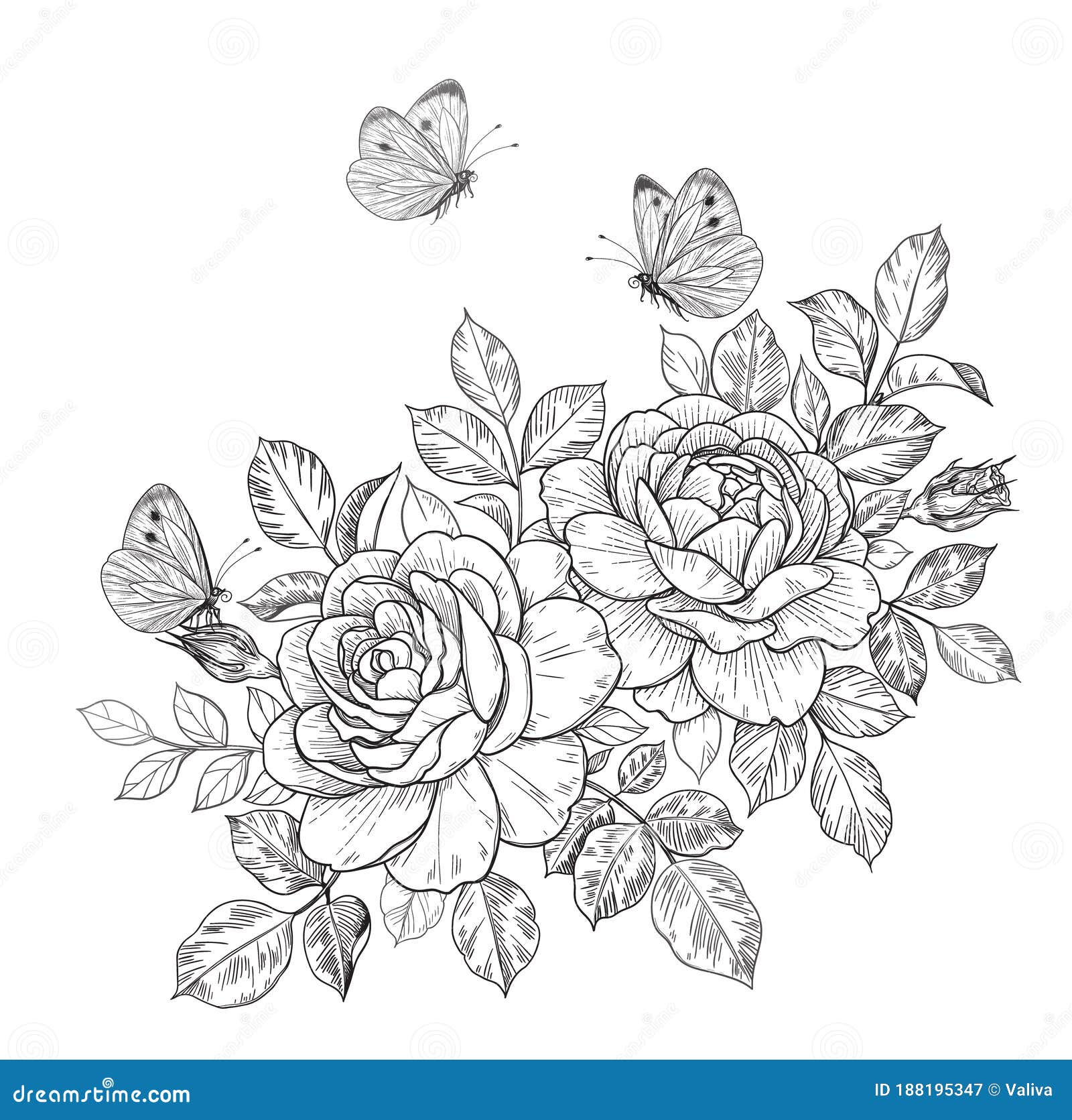 Hand drawn rose flowers and butterflies stock vector