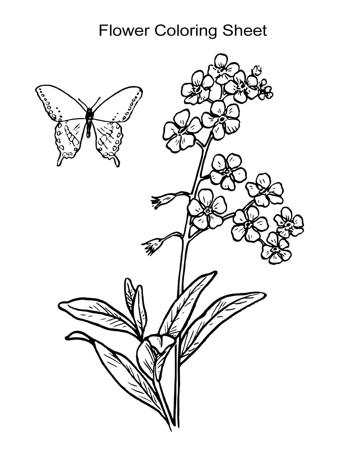 Flower coloring sheets for girls and boys