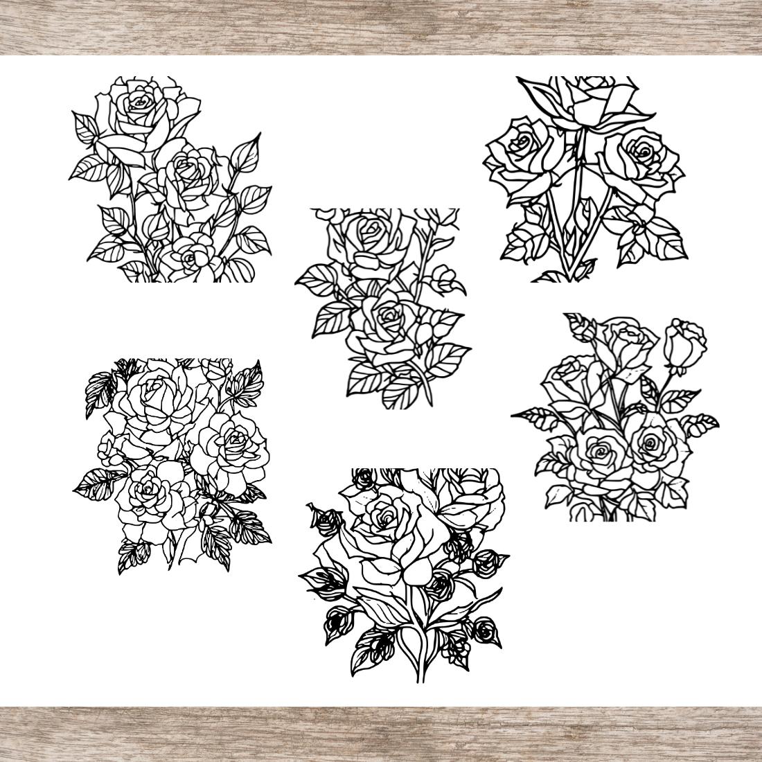 Rose drawing floral coloring pages with butterflies for adults svg and png