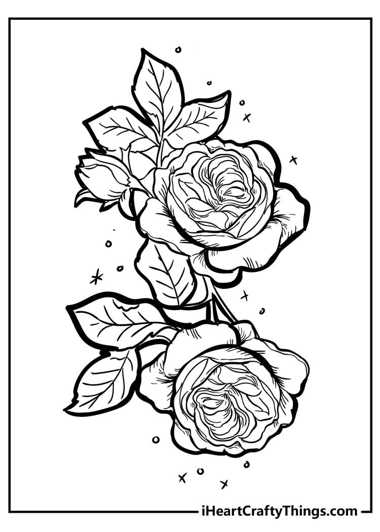 Original rose coloring pages rose coloring pages coloring pages nature tattoo sleeve