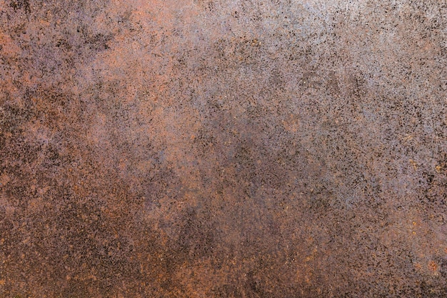 Page austrian copper rose images