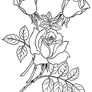 Roses garden of rose coloring page garden of rose coloring page rose coloring pages garden coloring pages coloring pages for kids