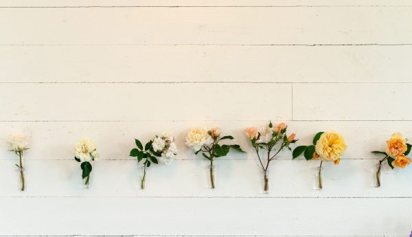 Christiansons rose list