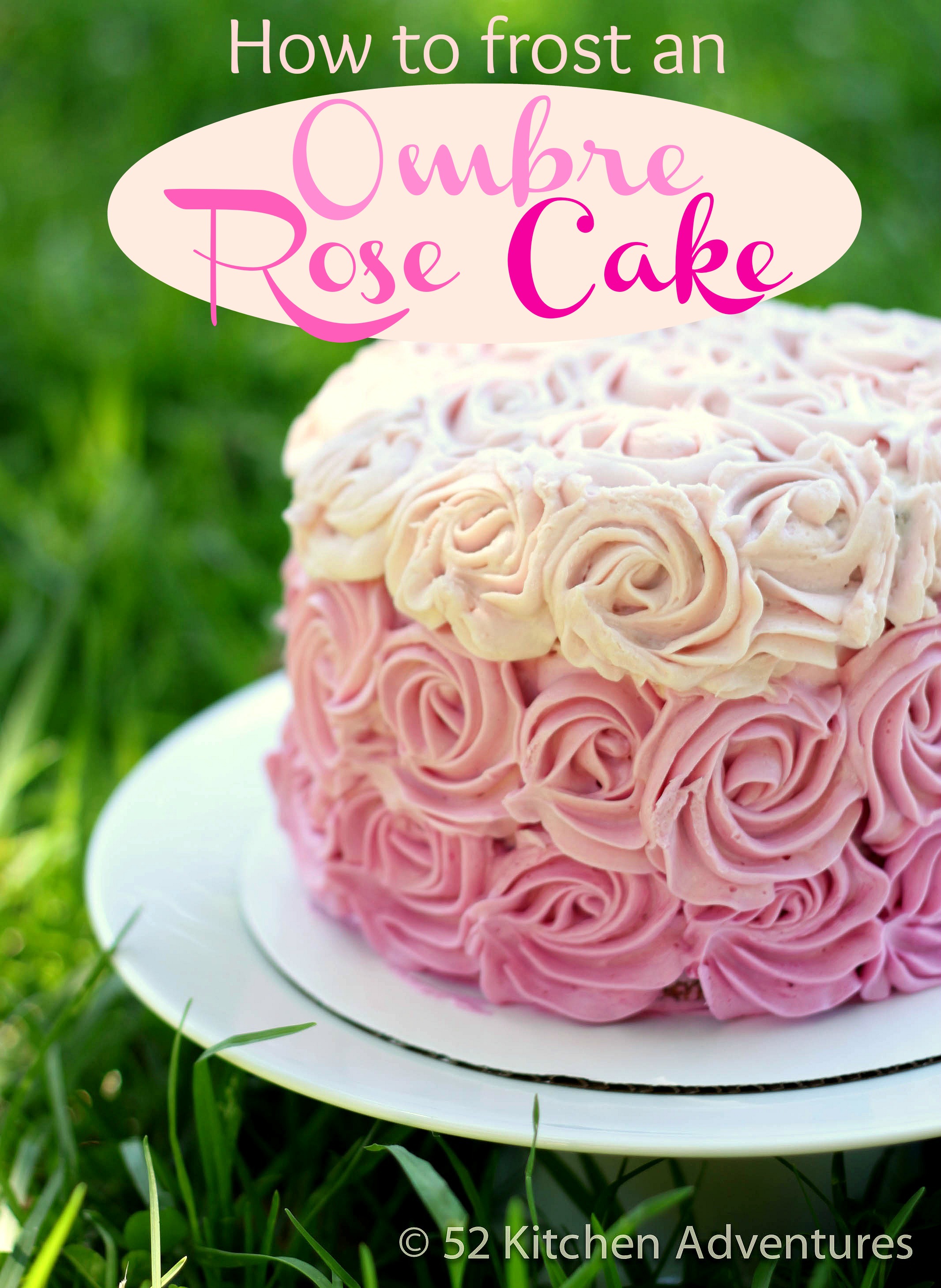 How to frost an ombre rose cake kitchen adventures