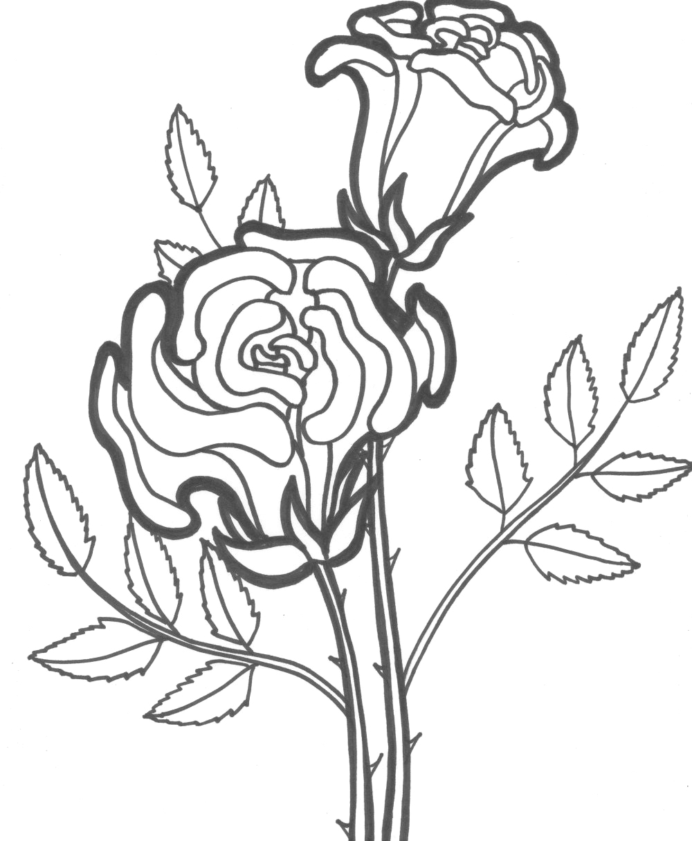 Free printable roses coloring pages for kids
