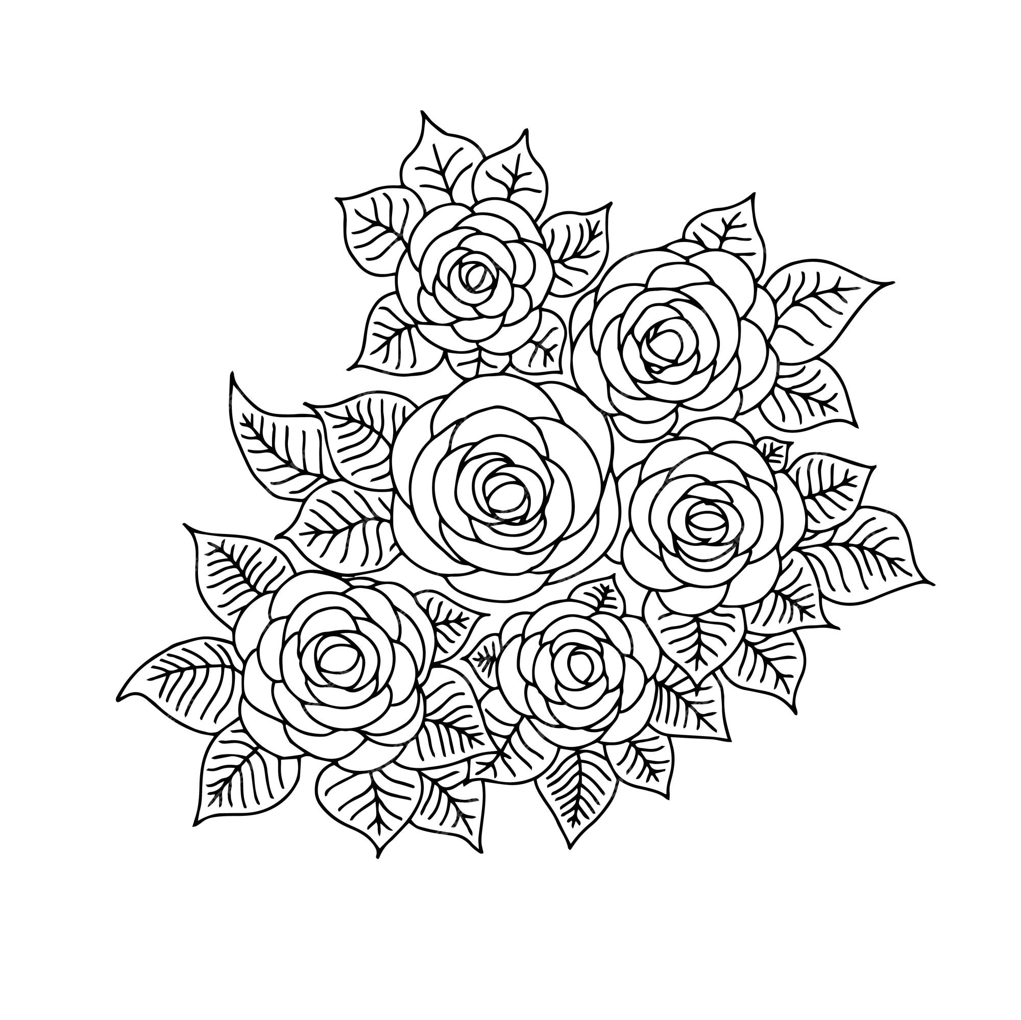 Premium vector design vector outline flower rose coloring page design painting line art flower rose