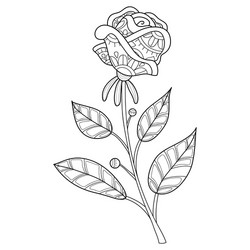 Mandala rose coloring pages vector images over