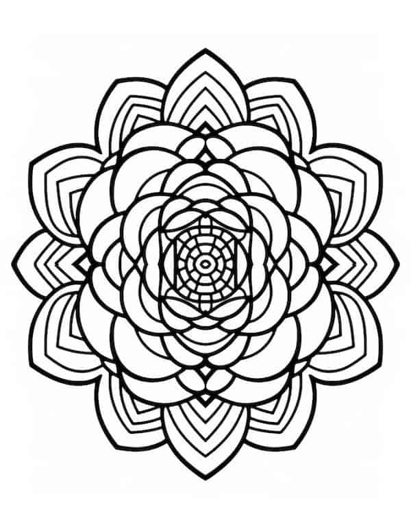 Beautiful rose coloring pages for kids and adults