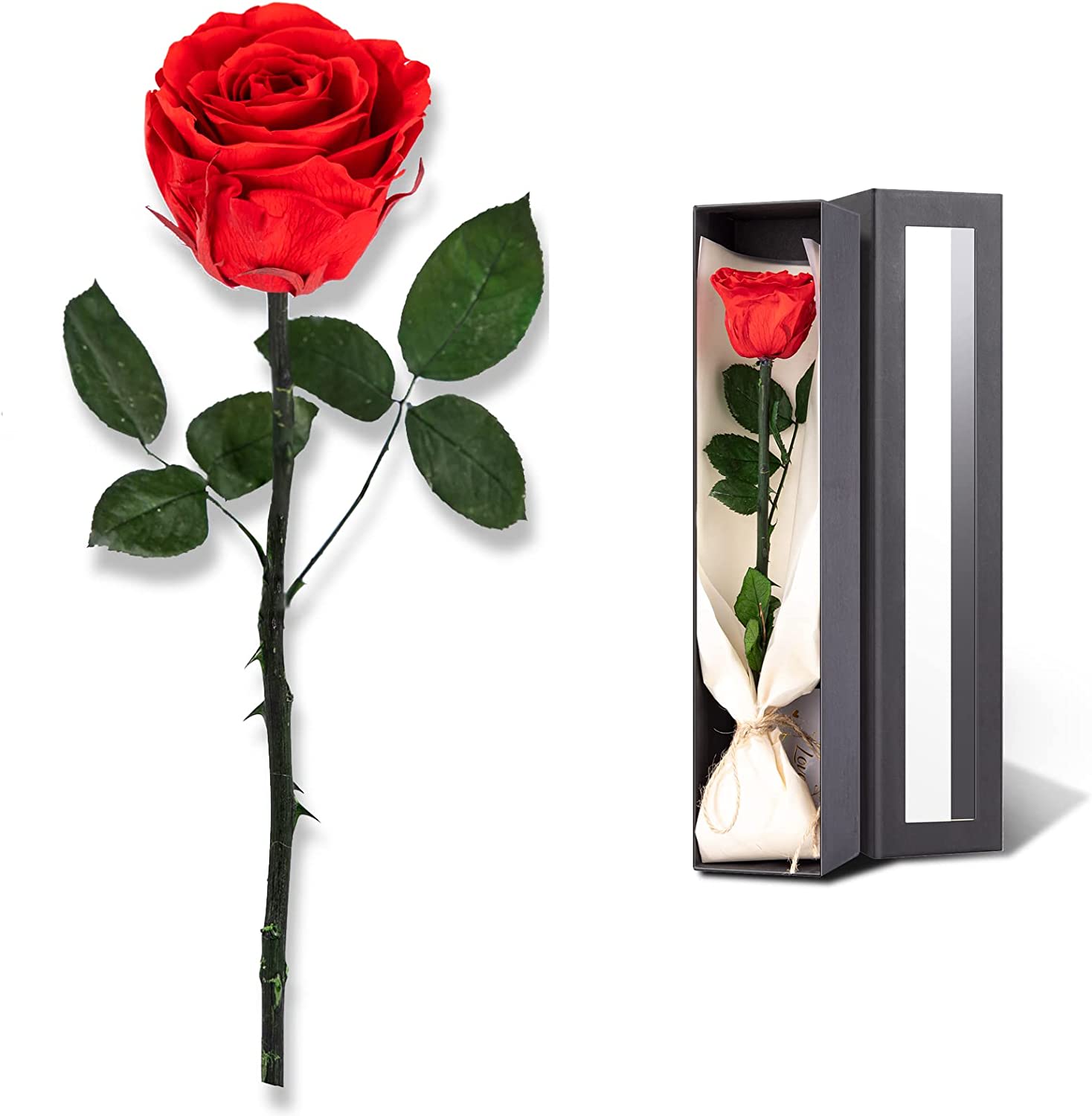 Forever rose eternal rose preserved rose with gift box