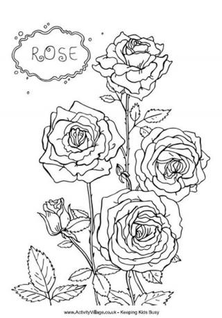 Rose louring pages