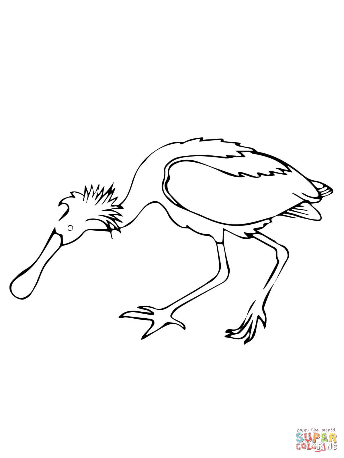Spoonbill bird coloring page free printable coloring pages