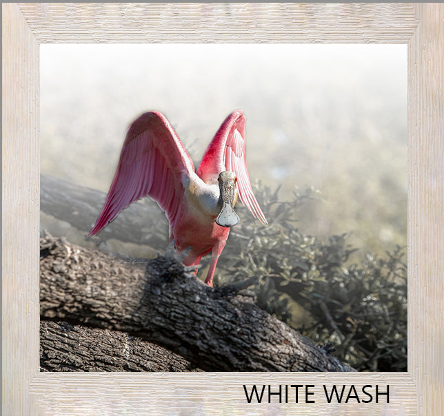 Roseate spoonbill â wowza wall art
