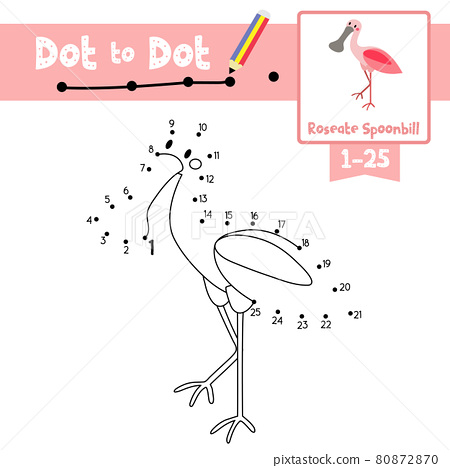 Dot to dot educational game and coloring book