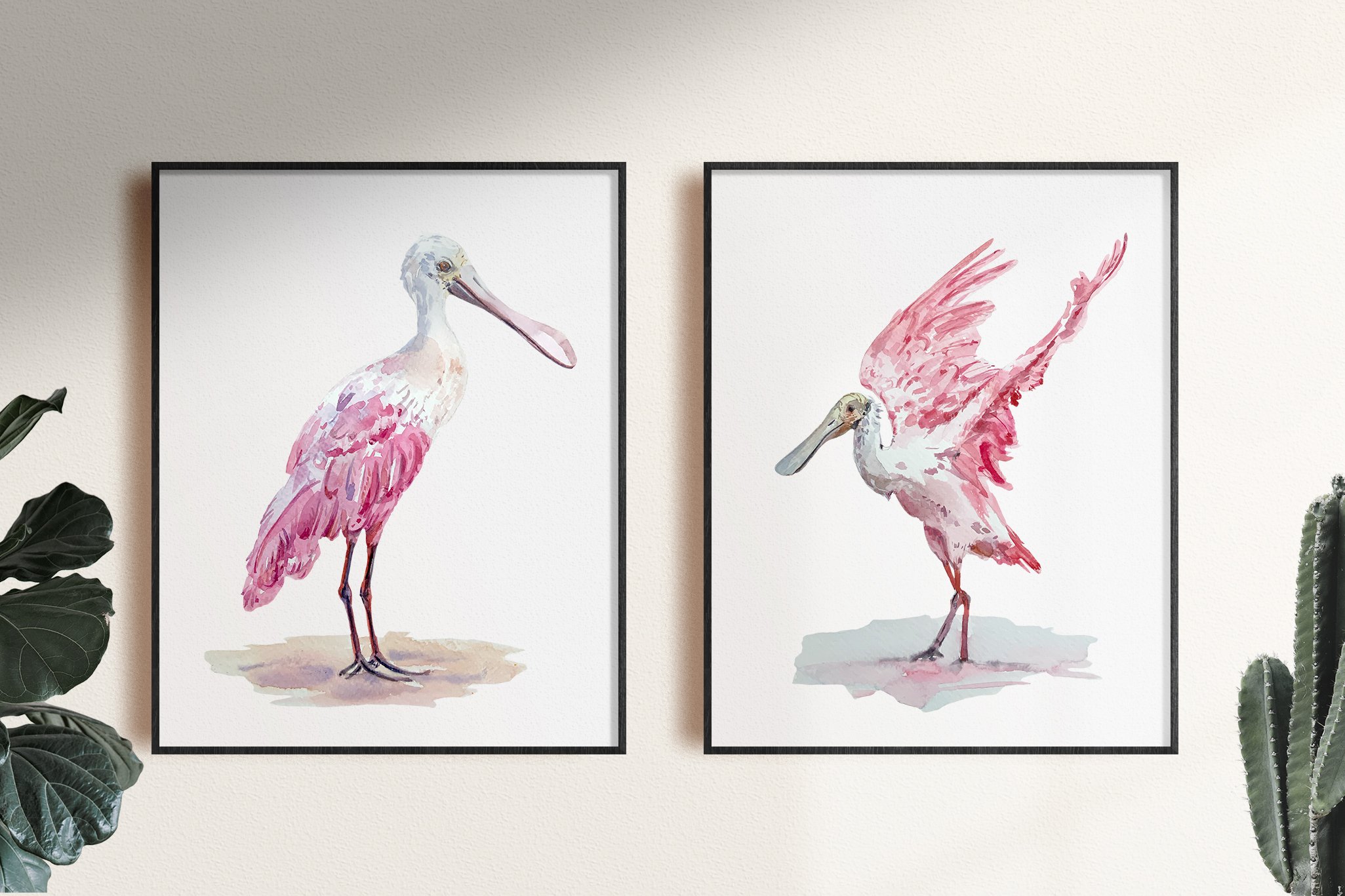 Roseate spoonbill