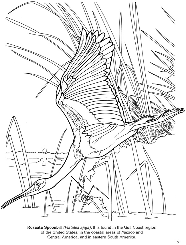Wele to dover publications