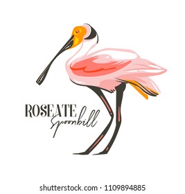 Roseate spoonbill over royalty