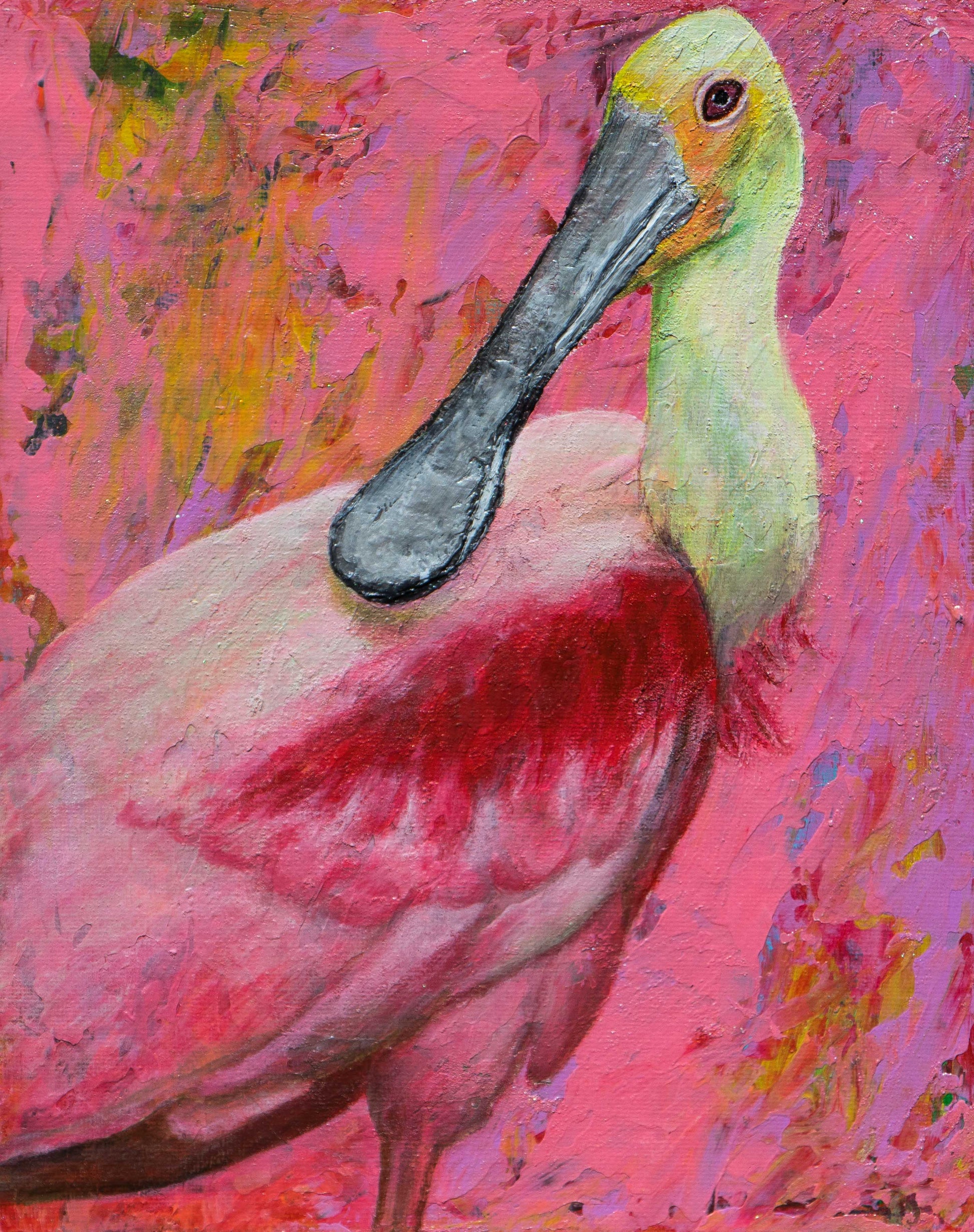 Roseate spoonbill â vandana jain