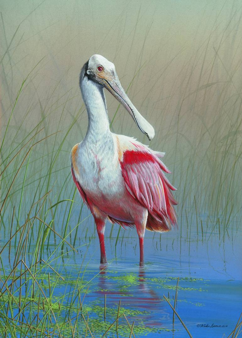 Roseate spoonbill painting by mike brown saatchi art