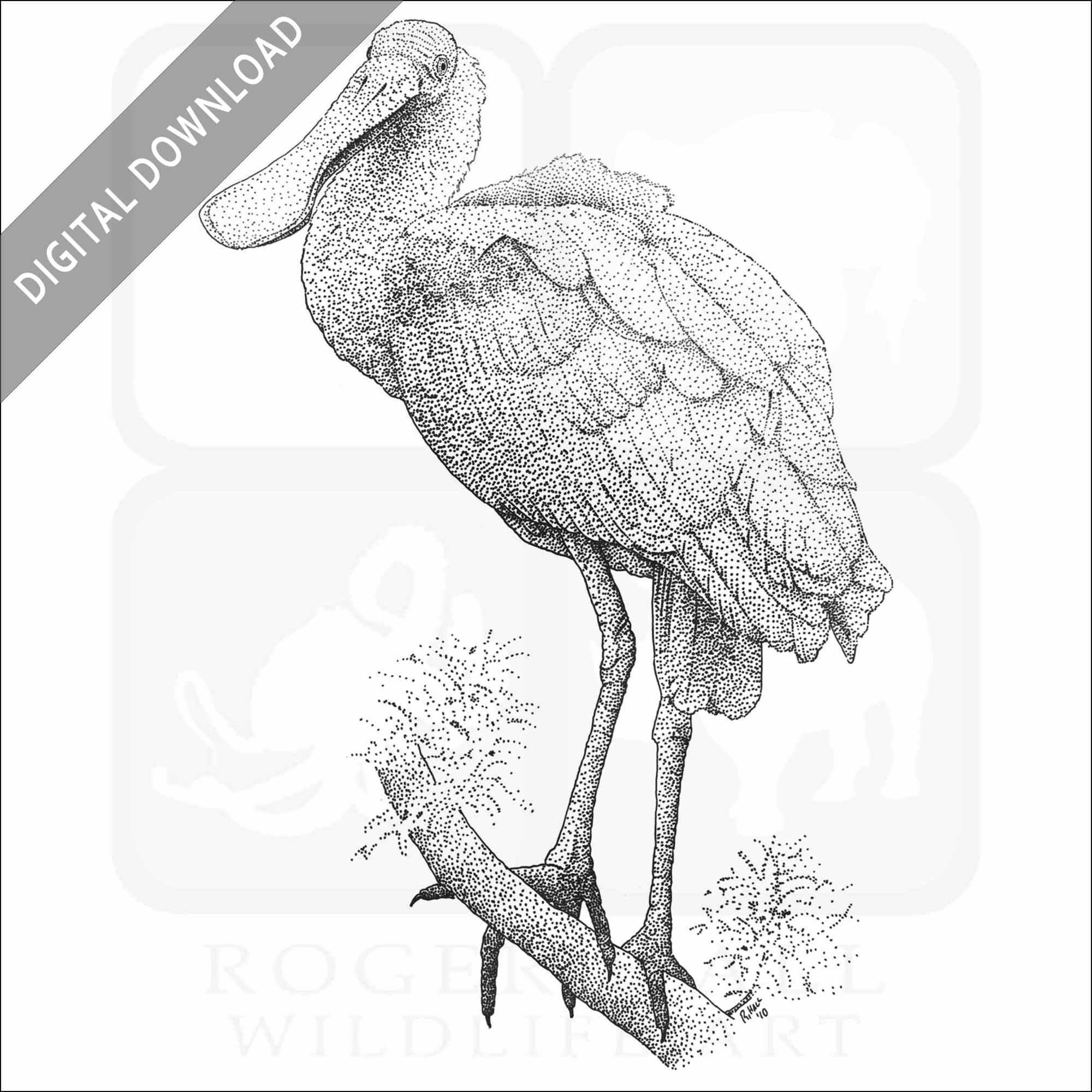 Stock art drawing of a roseate spoonbill