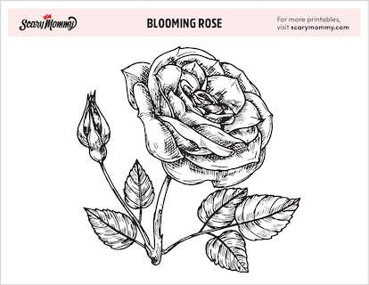 In full bloom free rose coloring page printables for kids