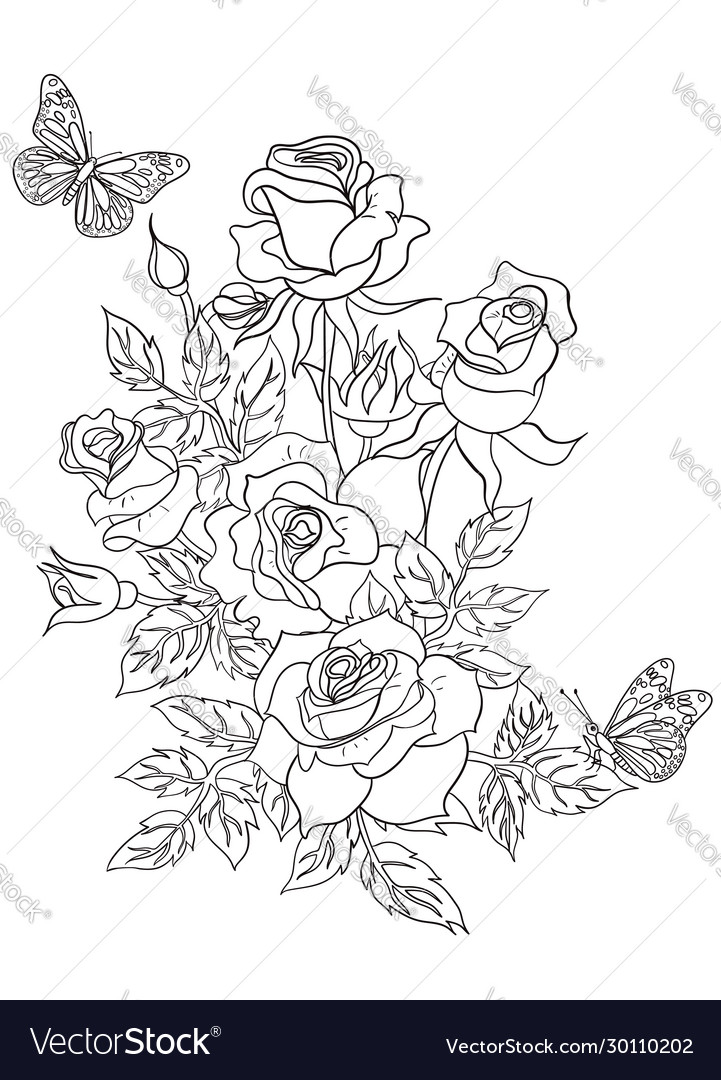 Coloring page with roses and butterflies vector image