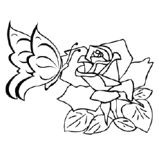 Top free printable butterfly coloring pages online