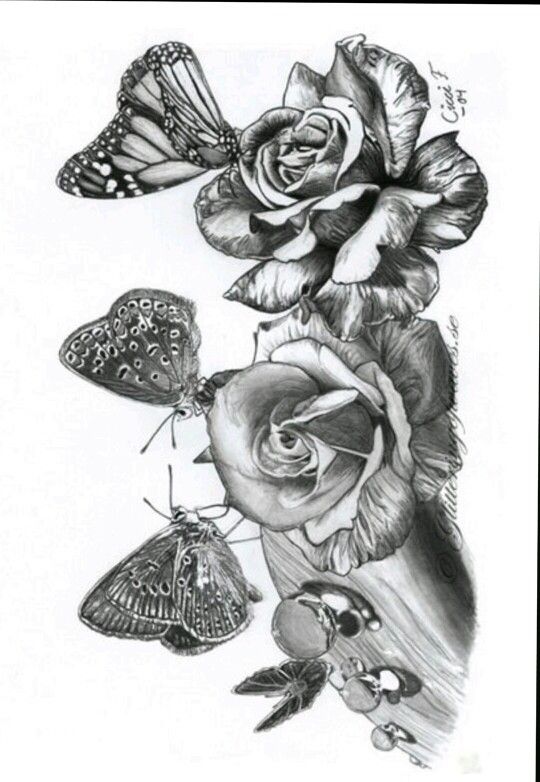 Rose butterfly coloring pages colouring adult detailed advanced printableâ coloring pages inspirational butterfly coloring page adult coloring designs