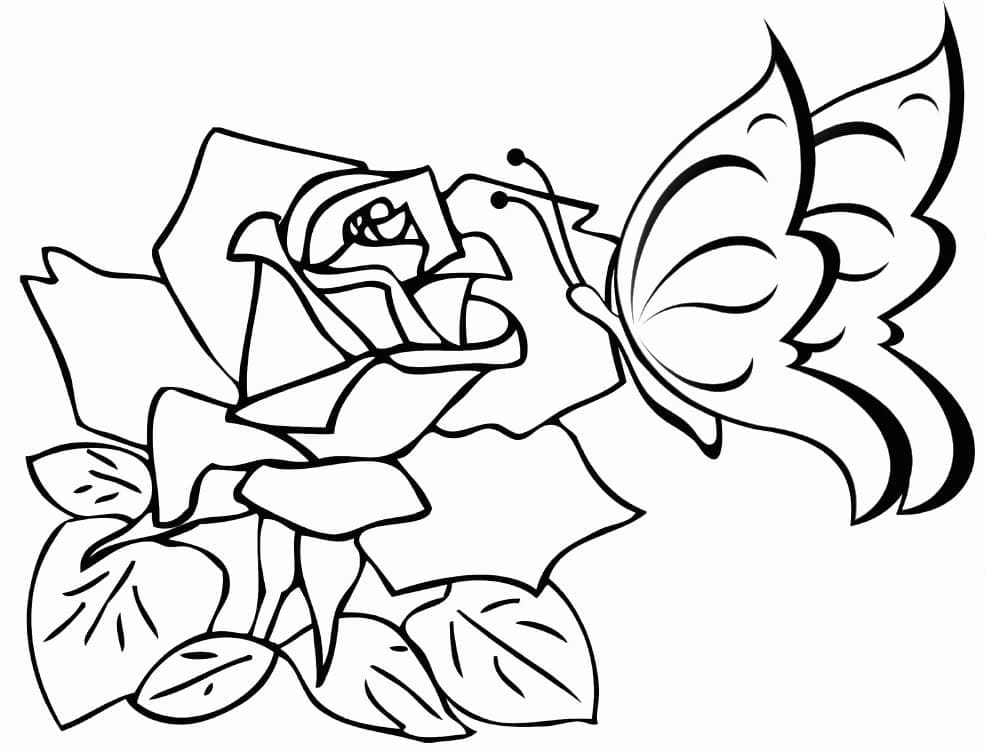 Butterfly and rose flowers coloring page